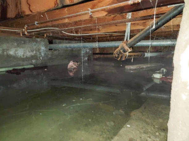 Best Flood restoration services  in Dock Junction, GA