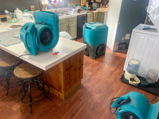 Best Residential water damage restoration  in Dock Junction, GA