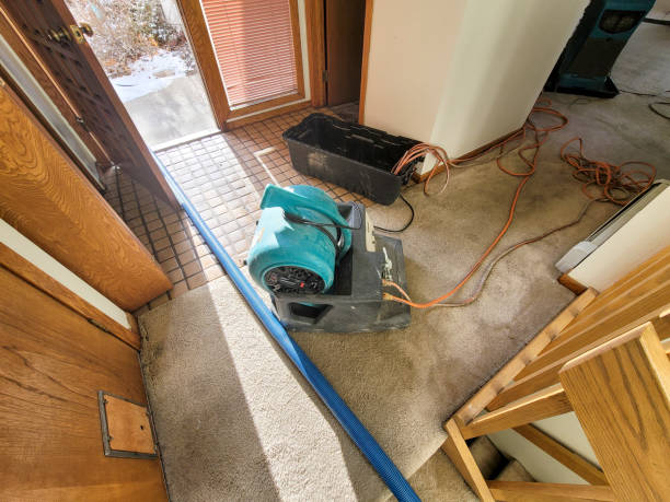 Best Residential water damage restoration  in Dock Junction, GA