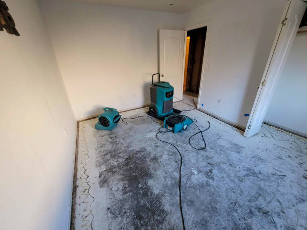 Best Basement water damage restoration  in Dock Junction, GA