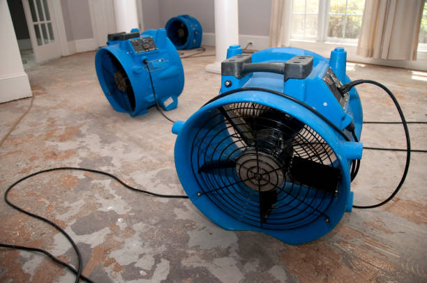 Carpet water damage restoration in GA