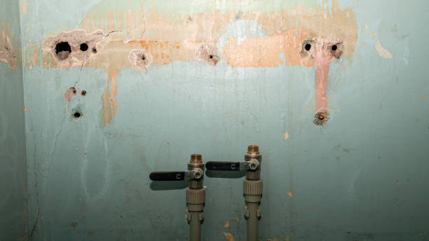 Best Ceiling water damage repair  in Dock Junction, GA