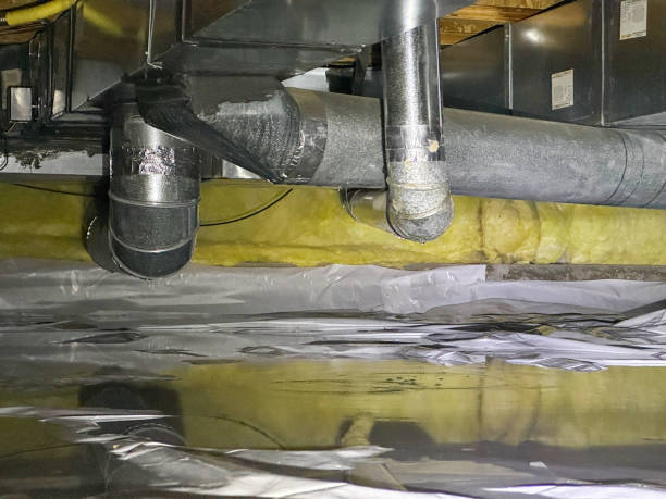 Best Water damage restoration cost  in Dock Junction, GA