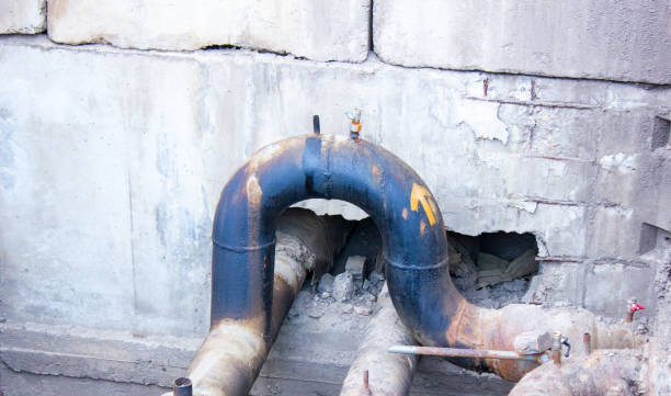 Best Mold removal after water damage  in Dock Junction, GA