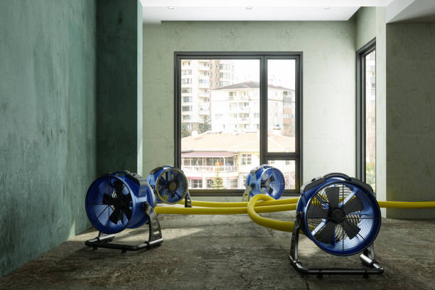 Best Commercial water damage restoration  in Dock Junction, GA
