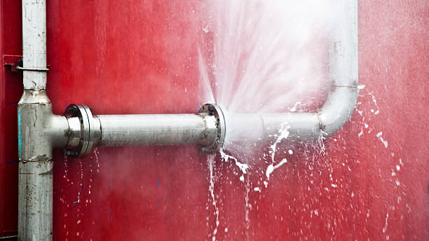 Best Sewage cleanup and water damage restoration  in Dock Junction, GA