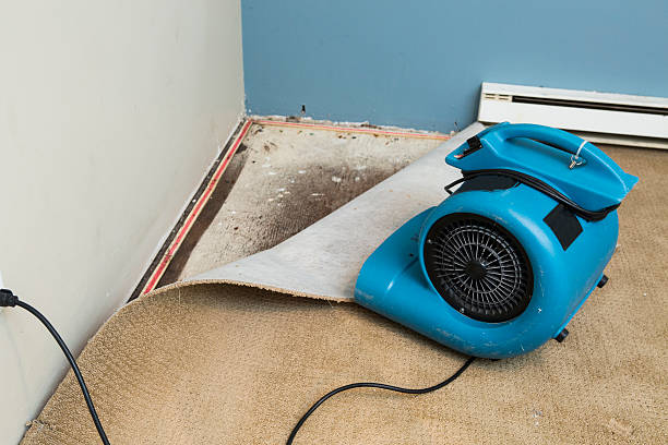 Best Flood damage cleanup  in Dock Junction, GA
